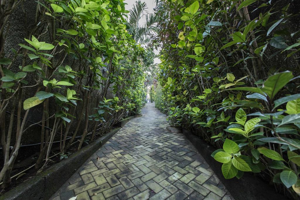 Villa Bali Zen Kerobokan Exteriör bild
